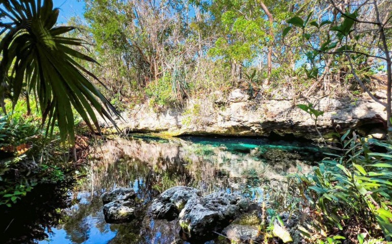 Cenote Chemuyil